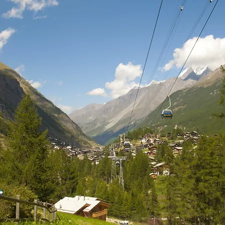 Element シャレー *