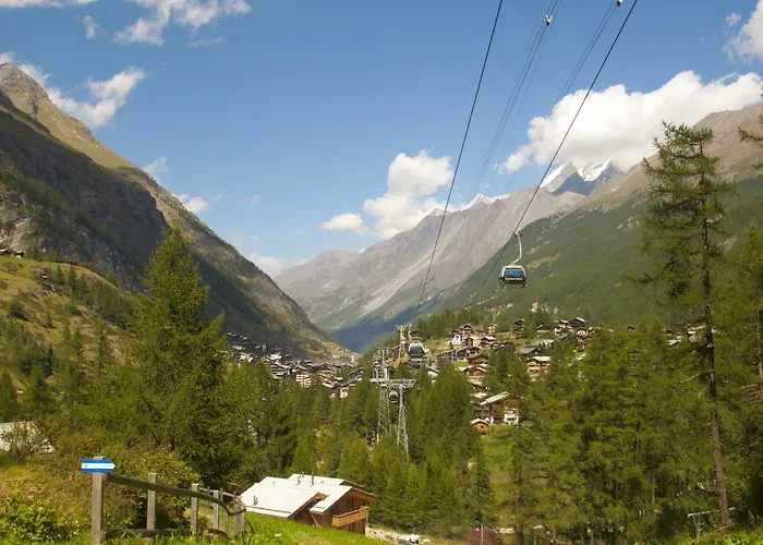 Element シャレー *